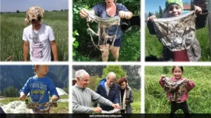 Scientists Asked 1,000 People To Bury Their Underwear. The Reason Is Fascinating