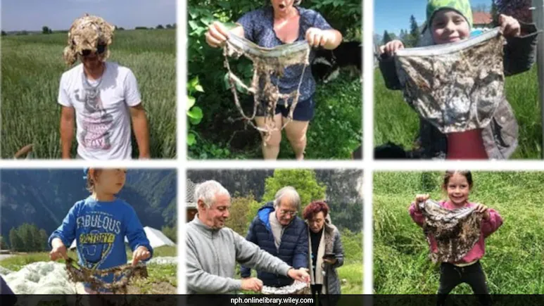 Scientists Asked 1,000 People To Bury Their Underwear. The Reason Is Fascinating
