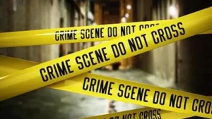 Karnataka woman arrested after 4-month-old twin daughters found dead at home