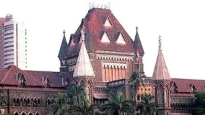 Indian law governing child custody does not recognise joint parenting: Bombay HC