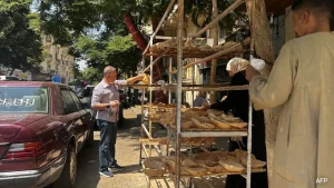 Last year, some nine million Egyptians were undernourished, while over 30 per cent