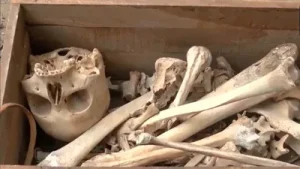 Skeleton-like object found in scrap in Central Delhi during cleanliness drive; police launch probe