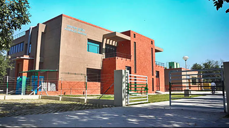 IIT Kanpur Announces 5-Week Certificate Programme On Python For Artificial: result and decisive