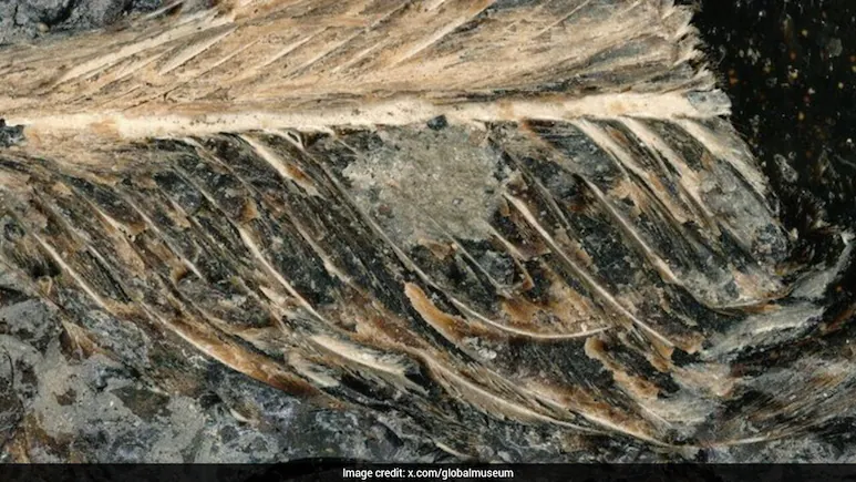One of the biggest mysteries in the history of this planet is how some birds made it alive out