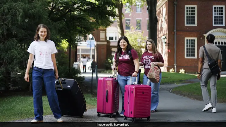 Harvard University ranks among the world's best universities across several business-related