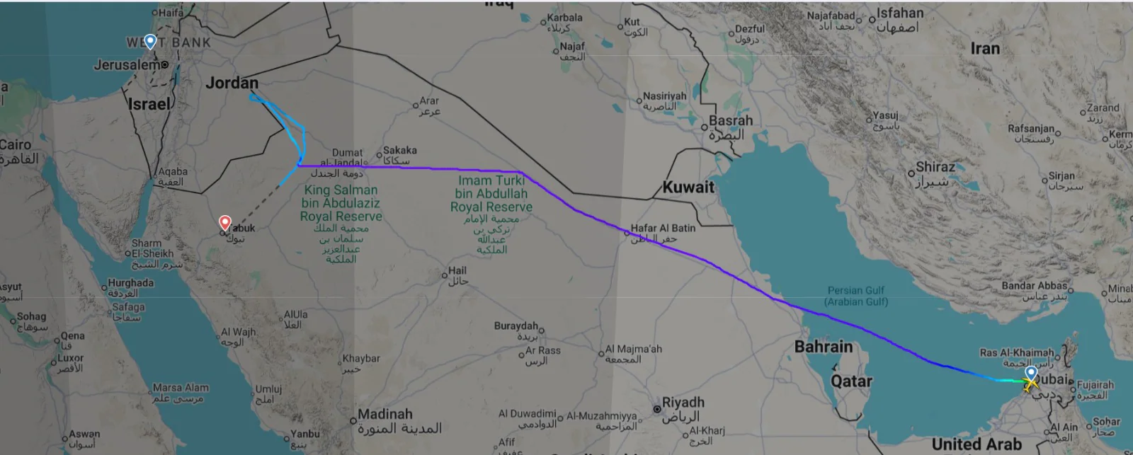 Why it matters: Pilot Tried To Take Control Of flydubai Plane, Terror Attack Not Ruled Out