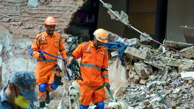 'Networks are fully operational': Delhi Police argues no jammers at Satya Niketan rescue site