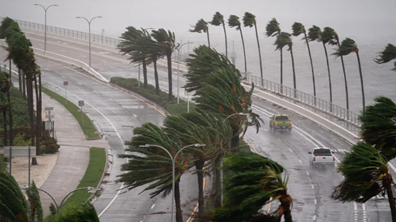 Because scientists have long known about El Nino's effects on storm activity in both oceans