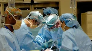 Pig kidney kept man off dialysis for 9 months, serves as 'bridge' to human organ