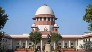 Assam residents Rajesh Chauhan and Madhab Mukunda Pujari moved the court challenging the Assam