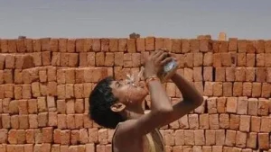 Amidst a strengthening El Nino, August was the joint warmest month ever recorded globally, tied