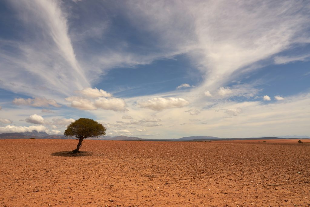 As "Supersized" El Nino Takes Shape, UN Chief raises concerns over Of Extreme Weather In 2027