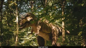 Scotty, the largest Tyrannosaurus rex skeleton ever found, has provided new insights