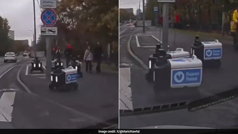 A pack of delivery robots caused a brief traffic jam in St
