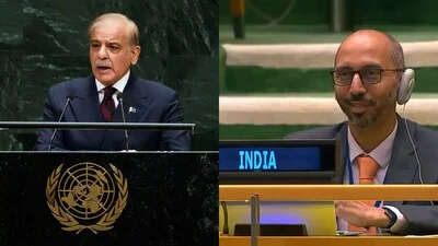 Indian diplomat's reaction to Pakistani PM's 'victory' claim after Operation Sindoor goes viral