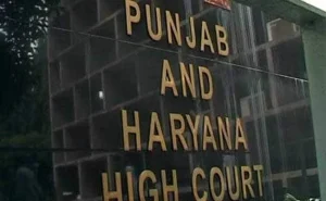 Stepfather Can't Replace Biological Father On Birth Certificate: High Court