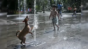 Belgium logged nearly 3,000 excess deaths during successive heatwaves since June, health