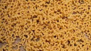 FSSAI flags 'Wai Wai' maker CG Foods, orders to stop production of 'veg bhujia': 'Predated