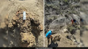 Palaeontologists have discovered what is believed to be the first known trackway left