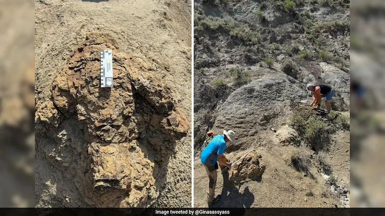 Palaeontologists have discovered what is believed to be the first known trackway left