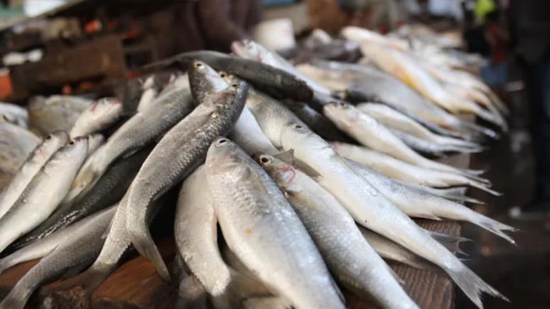 Fish carried into Bihar by floodwaters from Nepal could be dangerous to eat, the state