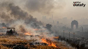 Why it matters: Farm Fires Are Rising: How Much Do They Add To Delhi's Pollution?