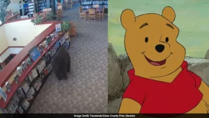 Watch: Black Bear Breaks Into California Library, Steals Honey On Winnie-the-Pooh's 100th Birthday