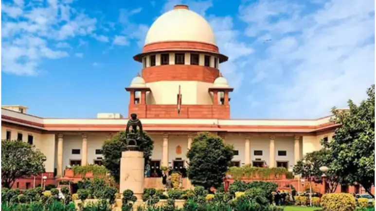 Top Court Orders Repoll In 50 Municipal Wards In Punjab Over "Vitiated" Election Process