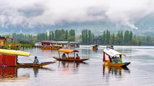 Of the 758 jobs reserved for the EWS, 697 jobs have gone to the Jammu region and just 61