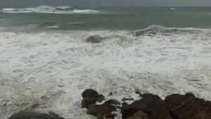 Cyclone Arnab's landfall process started along the Andhra Pradesh coast on Wednesday
