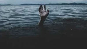 Man Drowns After Entering Water Body At Park In Delhi
