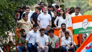 “Rahul Gandhi is spreading anarchy and displaying ignorance, questioning institutions like