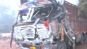 Twelve people were killed and 29 injured after a truck ran over devotees near Shitala Mata