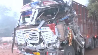 Twelve people were killed and 29 injured after a truck ran over devotees near Shitala Mata