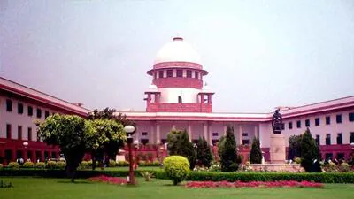 However, though the issue of law reforms to prevent racial discrimination of Northeast people