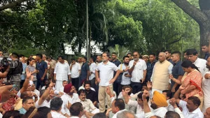 Delhi's Vehicle Curbs May Hit Congress' November 1 Rally — "No Exception"