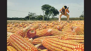 US pitches maize for India's E85, SAF ethanol push