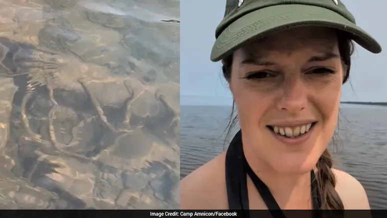 US Woman Finds 103-Year-Old Shipwreck While Playing With Her 9-Year-Old Son Near Lake Superior
