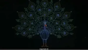 Mysuru Dasara's 3,473-Drone Peacock Show Sets Guinness World Record