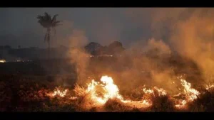 It added that he called for strict monitoring of stubble burning through ground patrolling