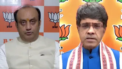 'Pathological liar', 'crossed all boundaries': BJP criticises Rahul Gandhi after meeting