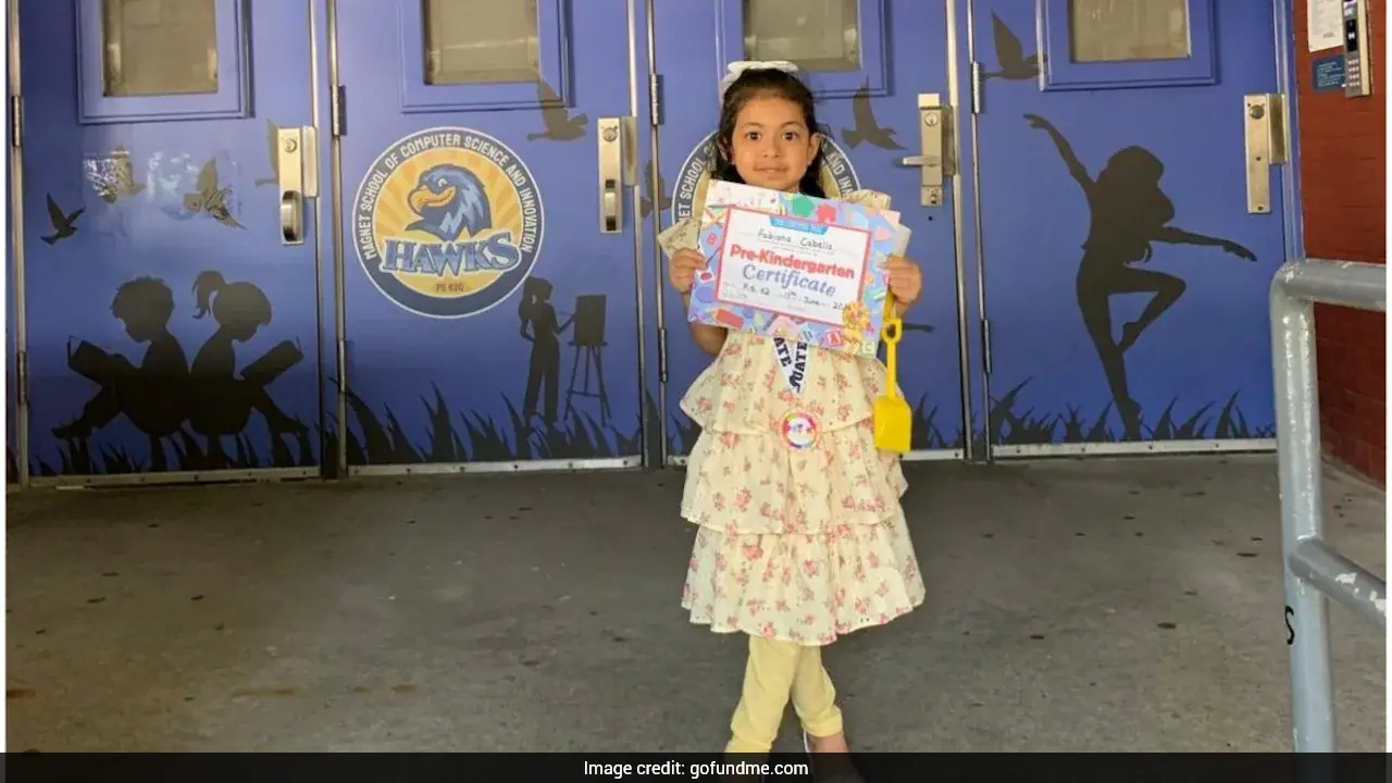 Indian-Origin Man On Daughter Killed By Wife In New York — "I Lost My World"