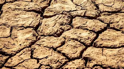 residents of three talukas in the state's Gondia district have demanded their exclusion While