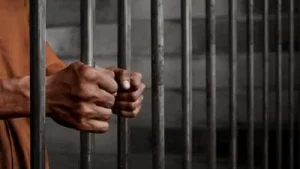 Haryana: 2 men held in Hisar for providing bank accounts to cyber fraud gang