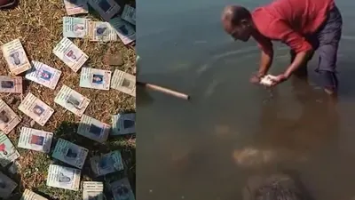 Video shows 343 voter ID cards found along Narmada riverbank in Madhya Pradesh, Congress demands