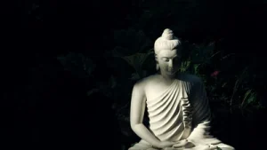 Sacred relics of Lord Buddha, preserved at the National Museum in Delhi, will be on public