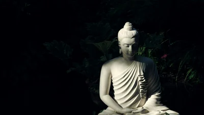 Sacred relics of Lord Buddha, preserved at the National Museum in Delhi, will be on public