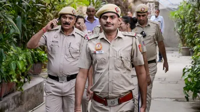 Viktoriia, who came to India in 2019, approached the court in 2023 seeking full custody