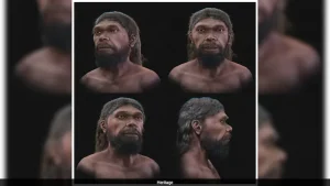 Scientists have digitally reconstructed the confronts of one of the earliest known members