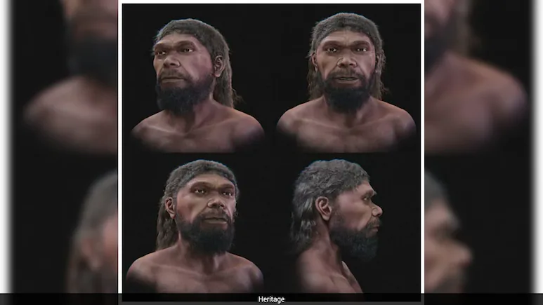 Scientists have digitally reconstructed the confronts of one of the earliest known members